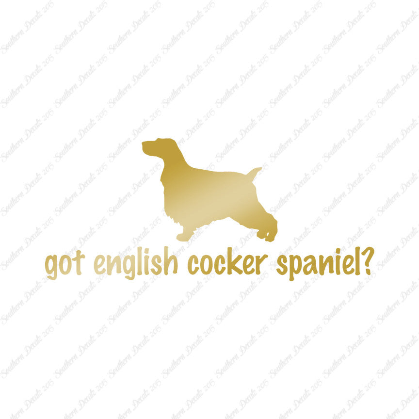 Got English Cocker Spaniel ? Dog Breed