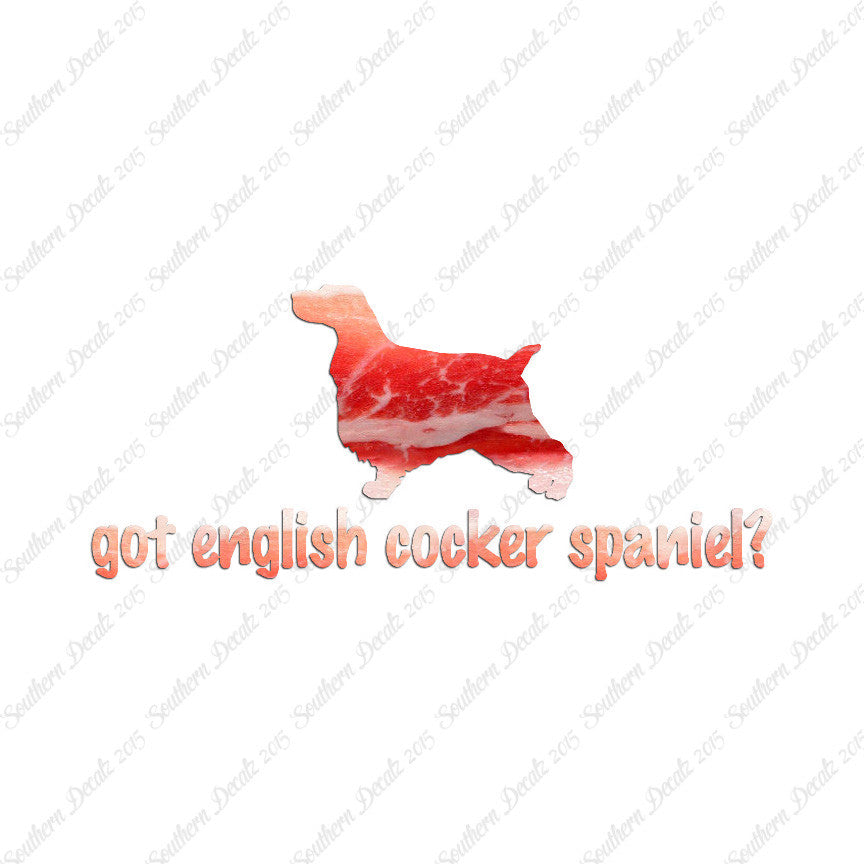 Got English Cocker Spaniel ? Dog Breed