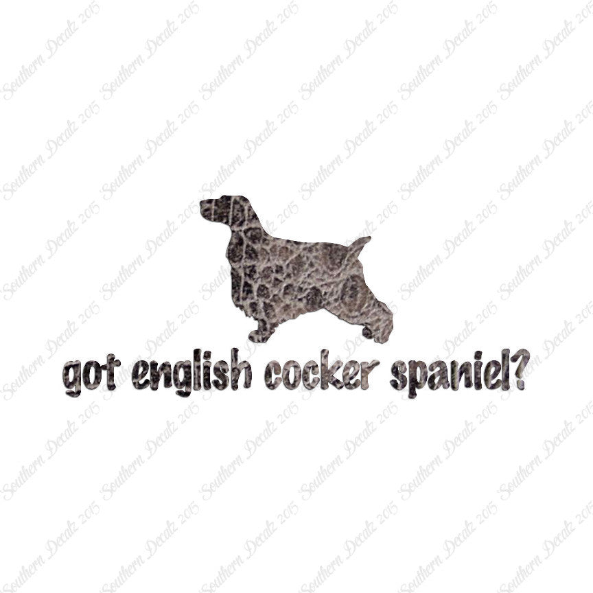 Got English Cocker Spaniel ? Dog Breed