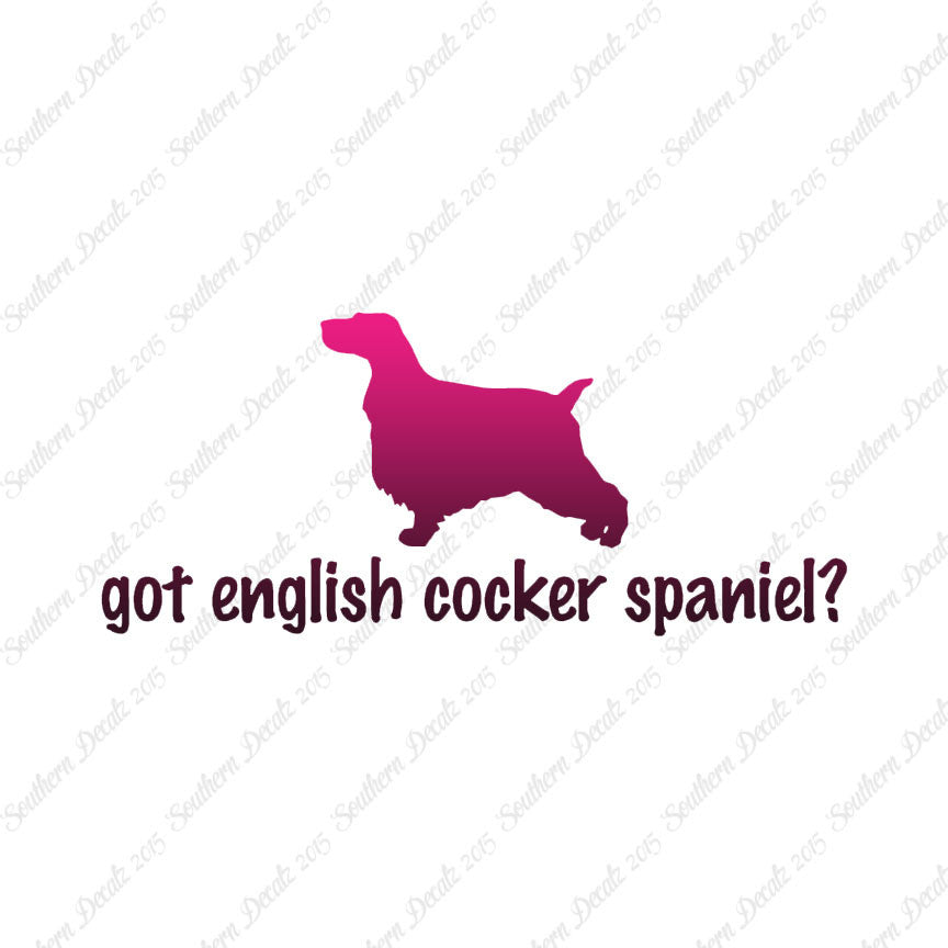 Got English Cocker Spaniel ? Dog Breed
