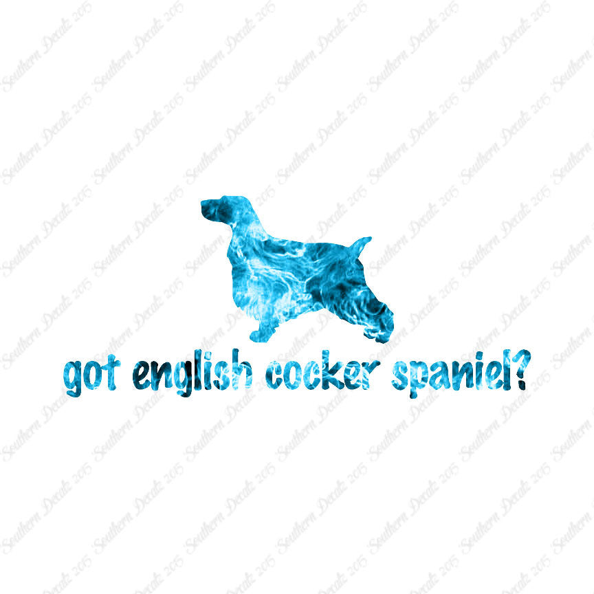 Got English Cocker Spaniel ? Dog Breed