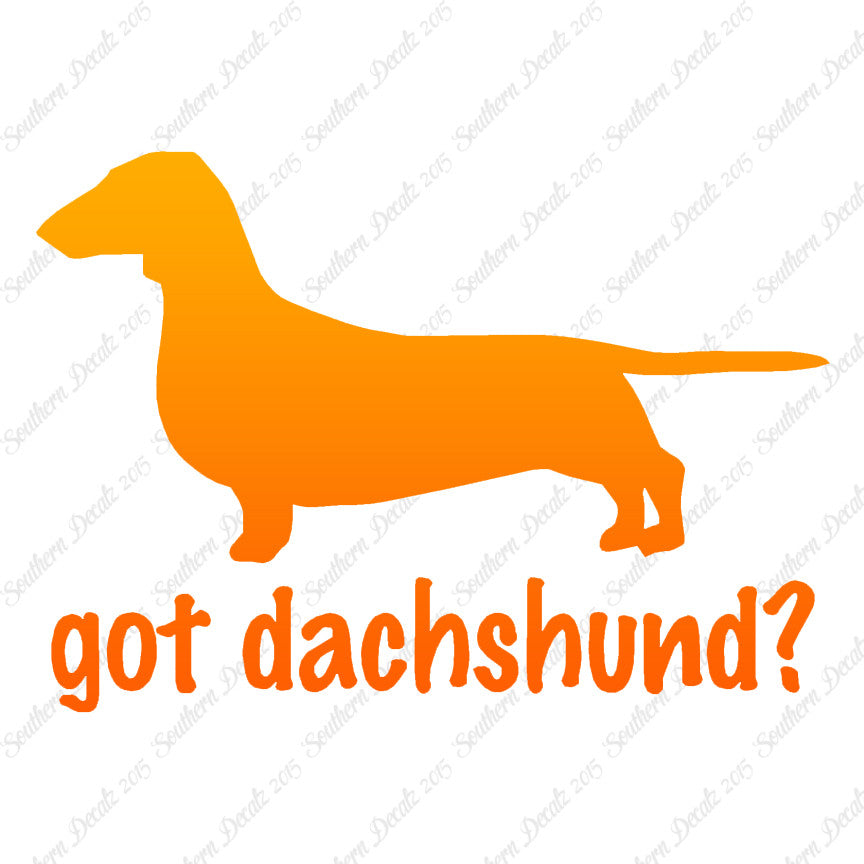 Got Dachshund ? Dog Breed