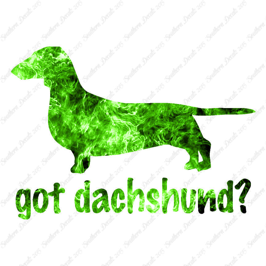 Got Dachshund ? Dog Breed