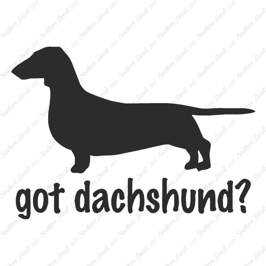 Got Dachshund ? Dog Breed