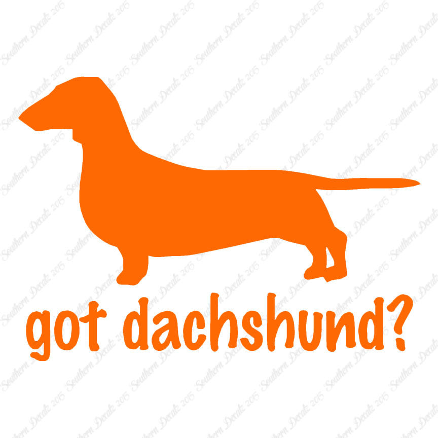 Got Dachshund ? Dog Breed