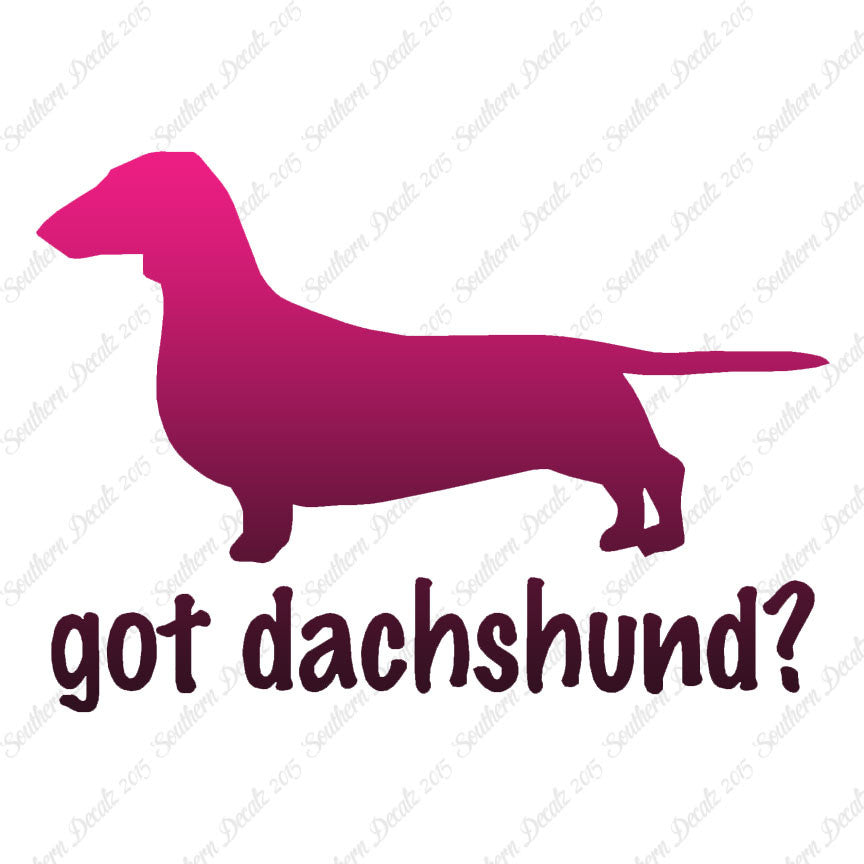 Got Dachshund ? Dog Breed