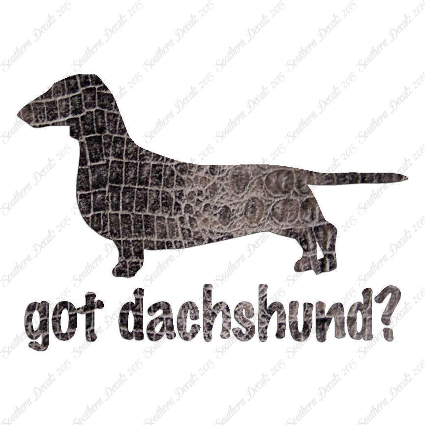 Got Dachshund ? Dog Breed