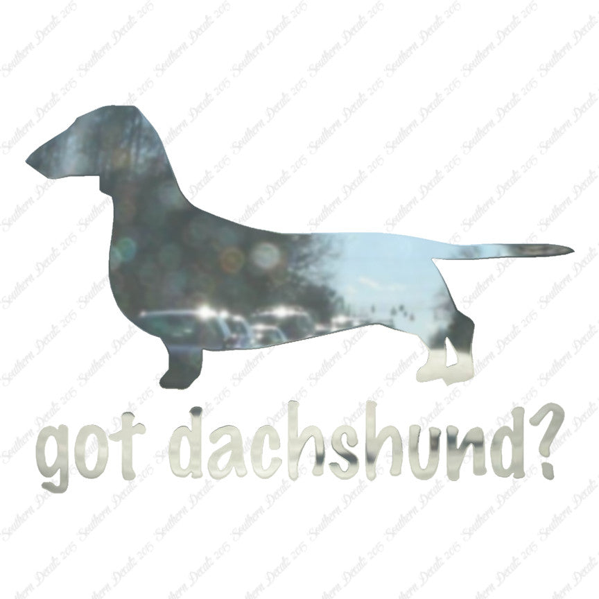 Got Dachshund ? Dog Breed