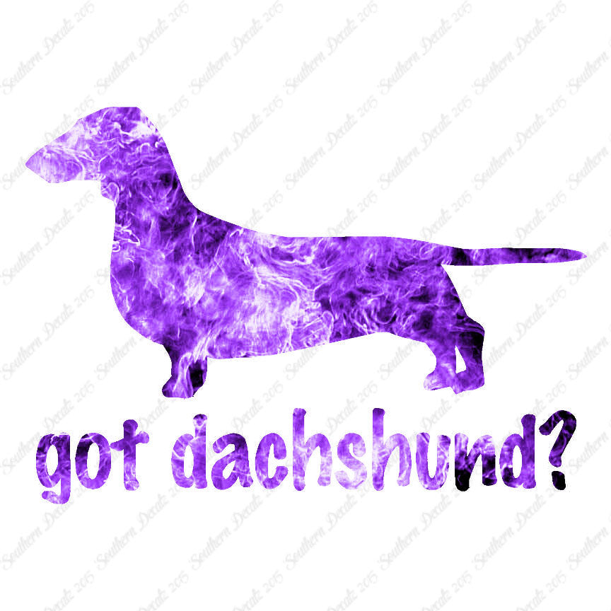 Got Dachshund ? Dog Breed