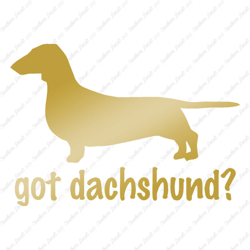 Got Dachshund ? Dog Breed