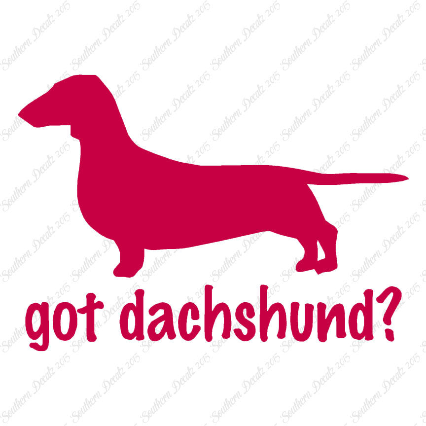 Got Dachshund ? Dog Breed
