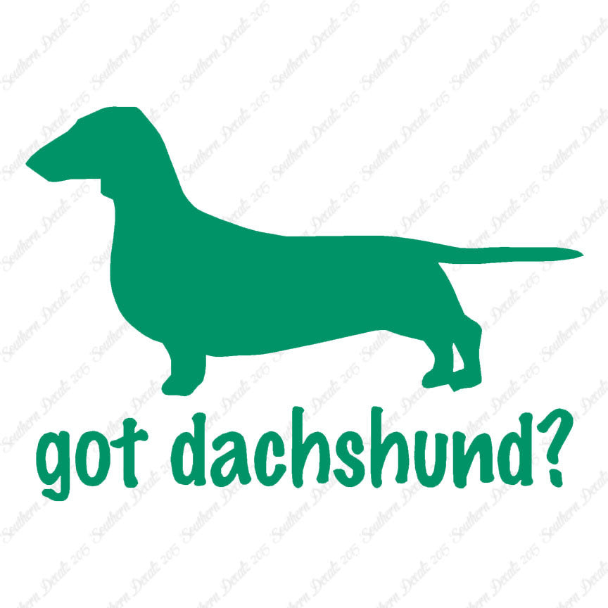 Got Dachshund ? Dog Breed