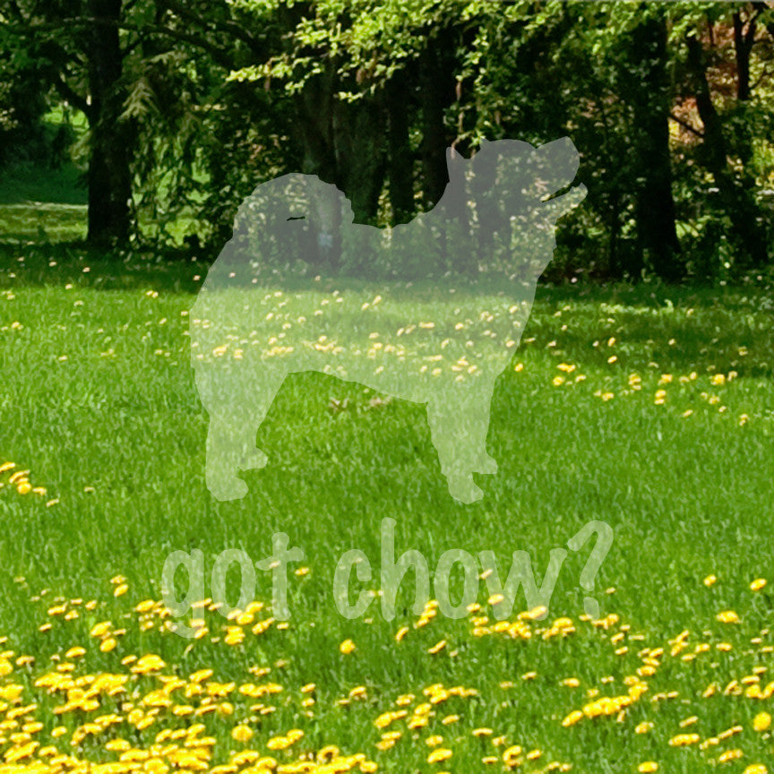 Got Chow ? Dog Breed