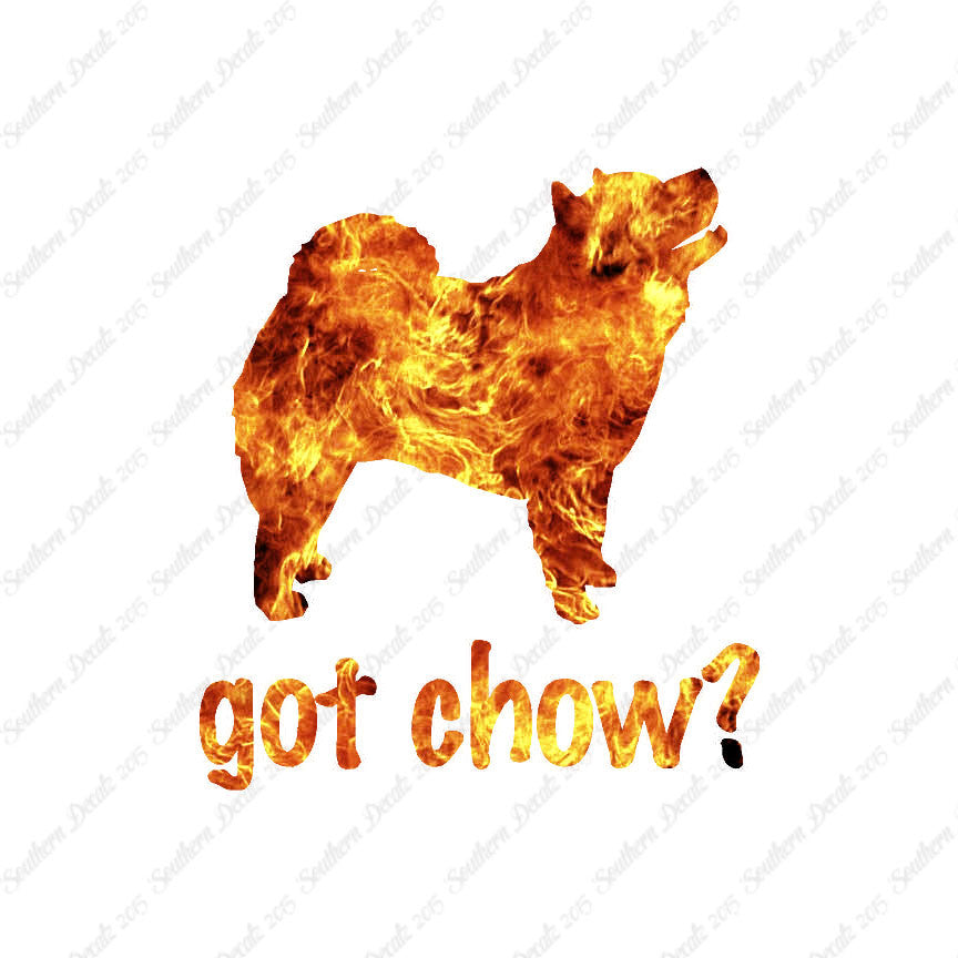 Got Chow ? Dog Breed
