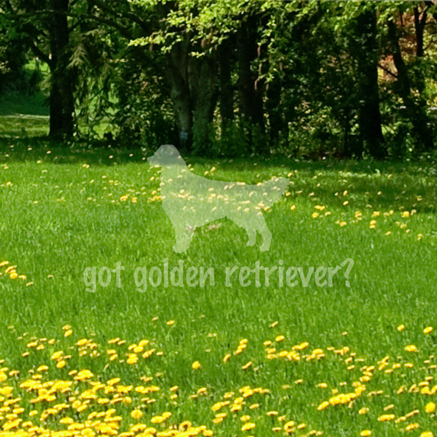 Got Golden Retriever ? Dog Breed