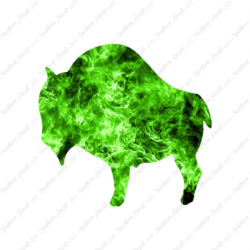 Buffalo Bison Ox