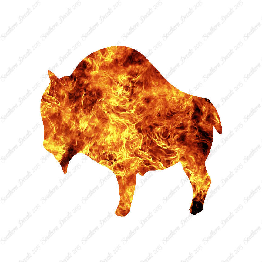 Buffalo Bison Ox