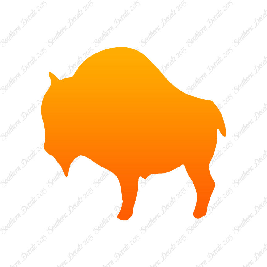 Buffalo Bison Ox