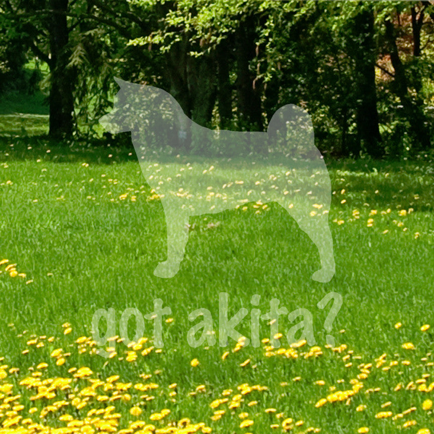 Got Akita ? Dog Breed