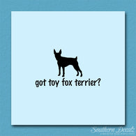 Got Toy Fox Terrier ? Dog Breed