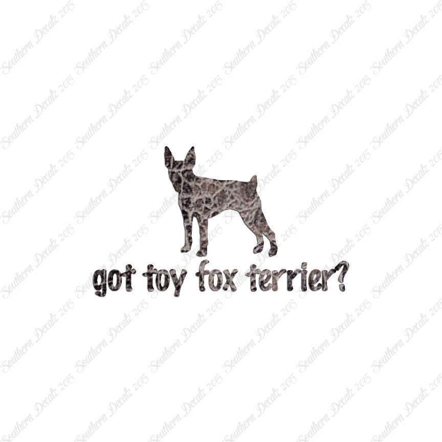 Got Toy Fox Terrier ? Dog Breed
