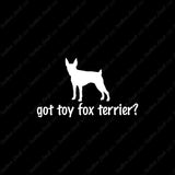 Got Toy Fox Terrier ? Dog Breed