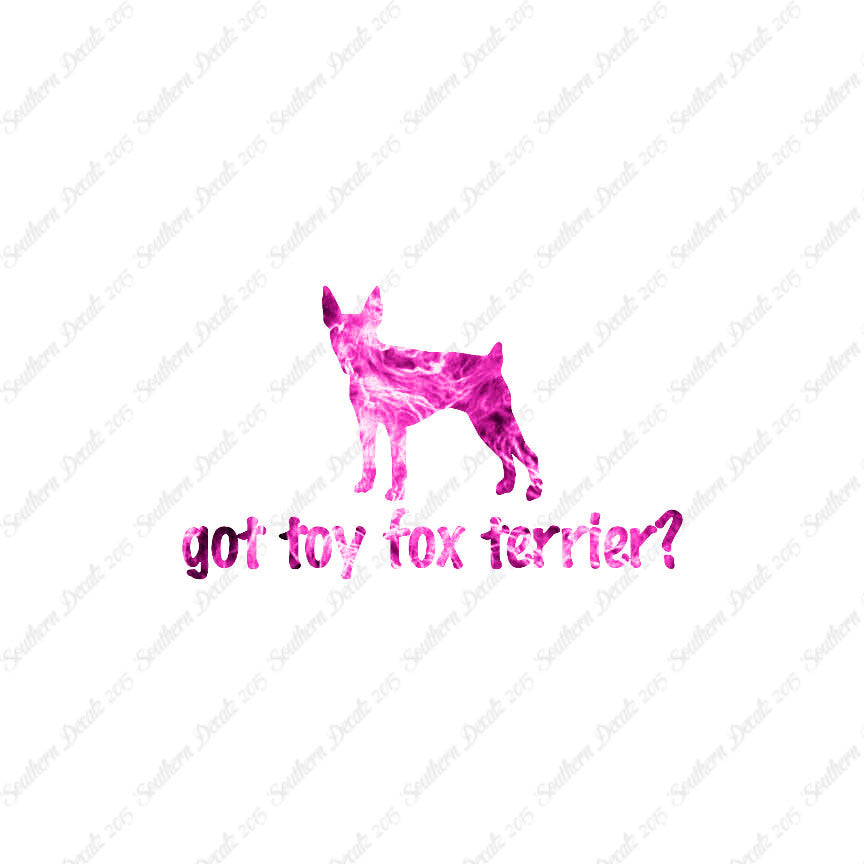 Got Toy Fox Terrier ? Dog Breed