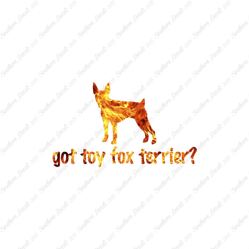 Got Toy Fox Terrier ? Dog Breed