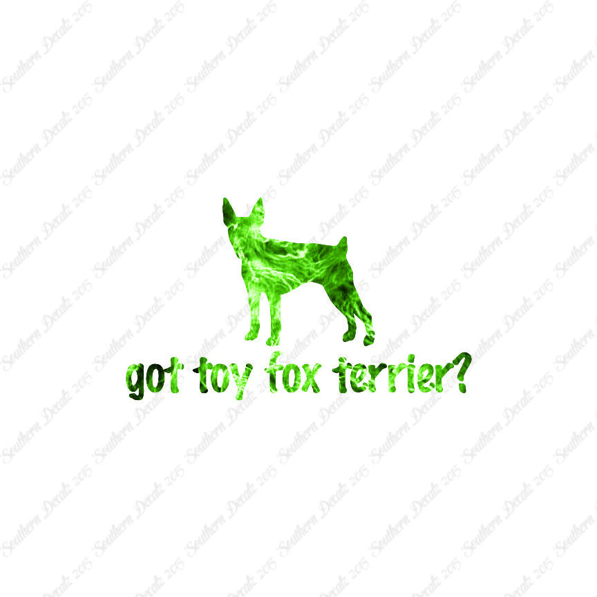 Got Toy Fox Terrier ? Dog Breed