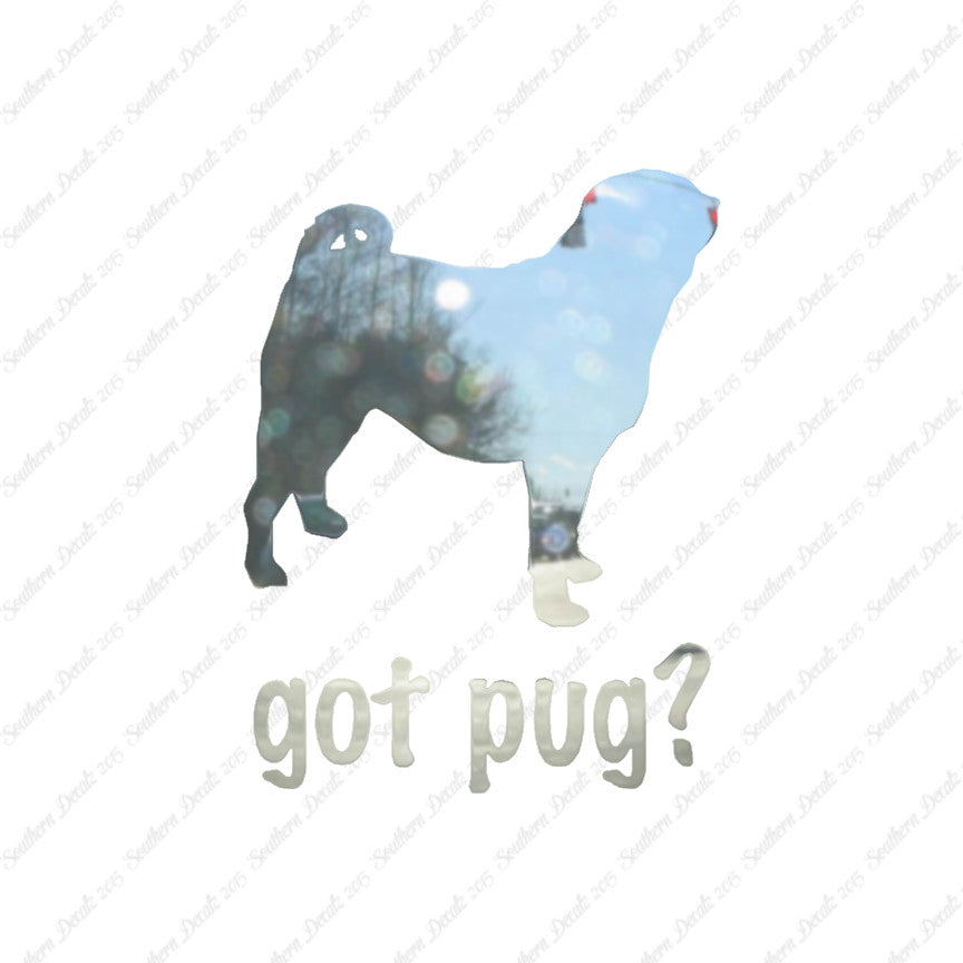 Got Pug ? Dog Breed