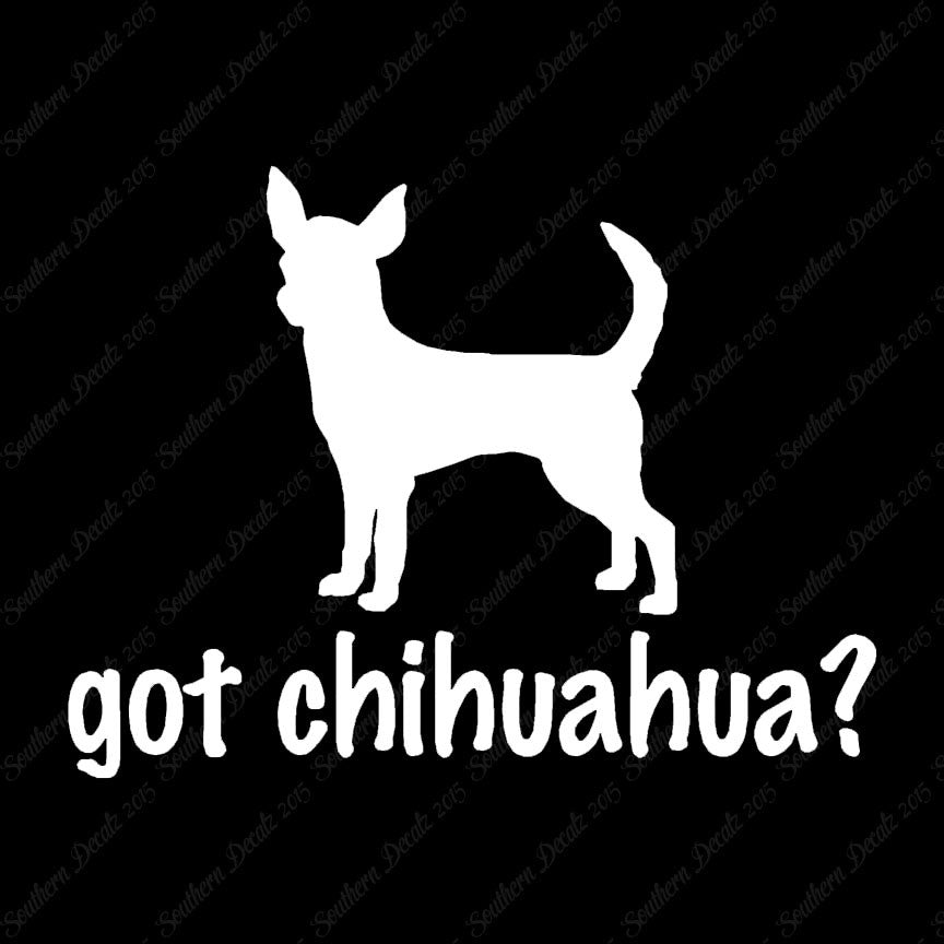 Got Chihuahua ? Dog Breed