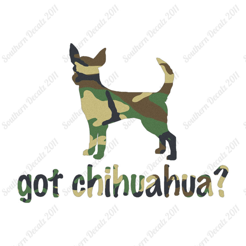 Got Chihuahua ? Dog Breed