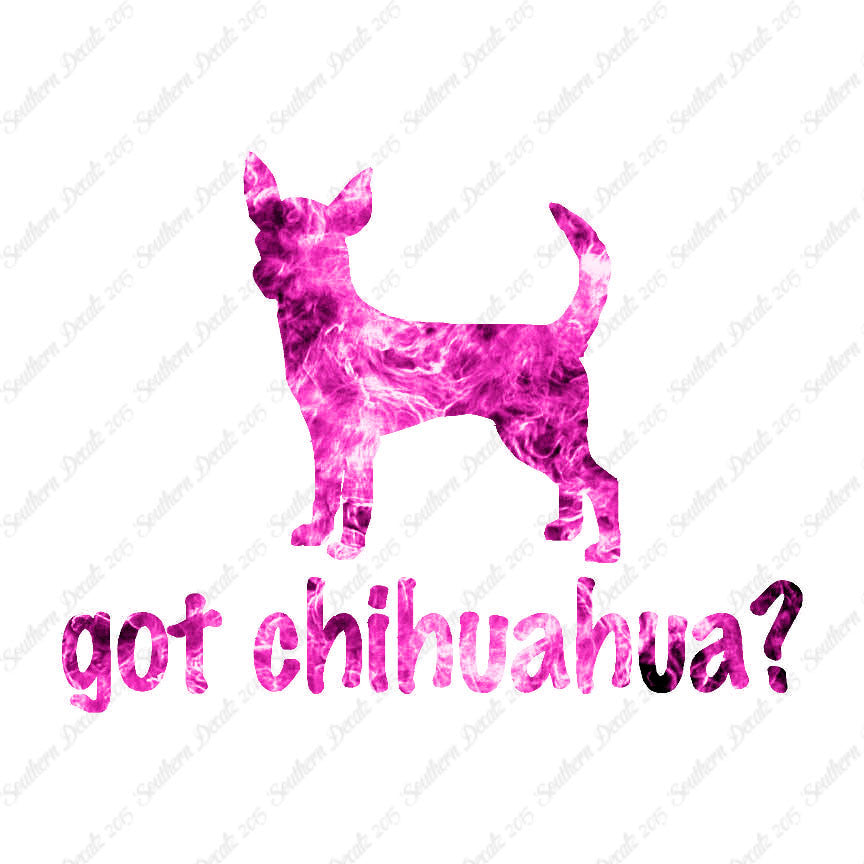 Got Chihuahua ? Dog Breed