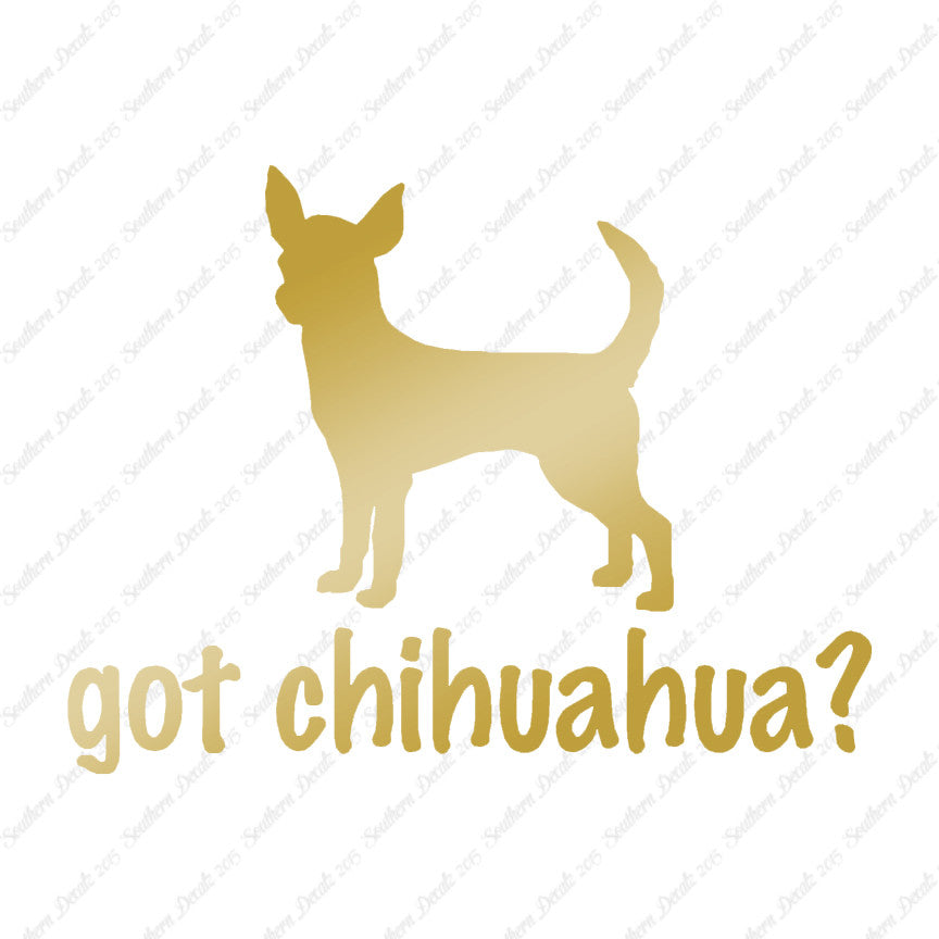Got Chihuahua ? Dog Breed