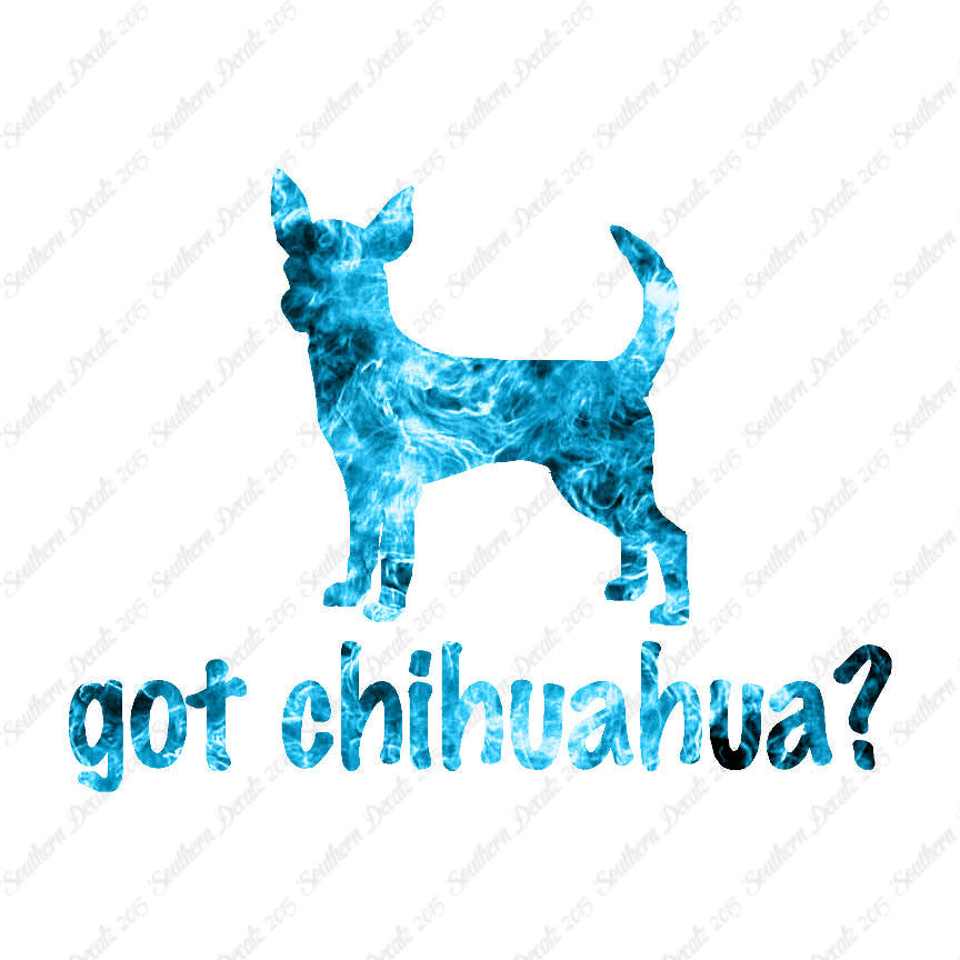 Got Chihuahua ? Dog Breed
