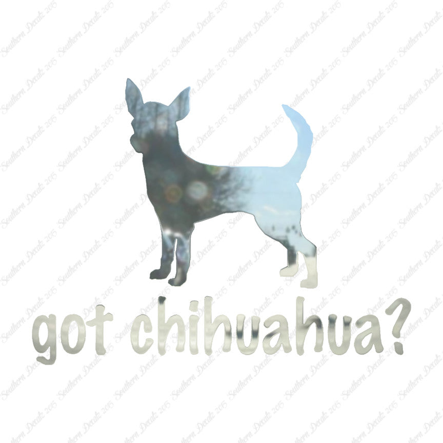 Got Chihuahua ? Dog Breed