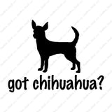Got Chihuahua ? Dog Breed