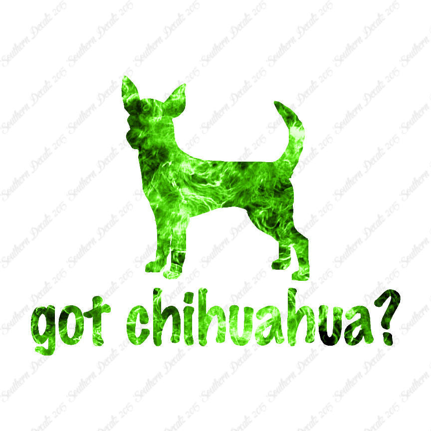 Got Chihuahua ? Dog Breed