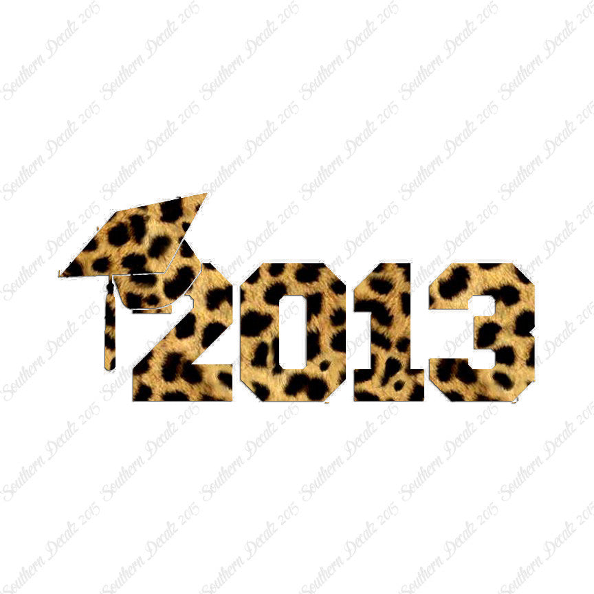 2013 Graduation Cap