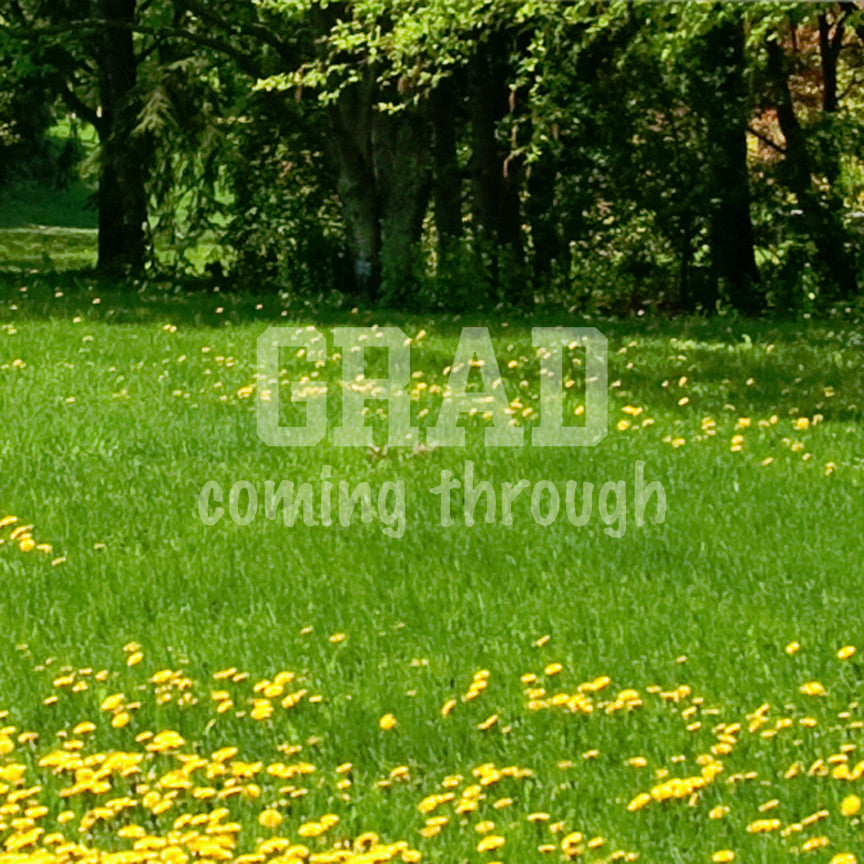 Grad Coming Through Graduate