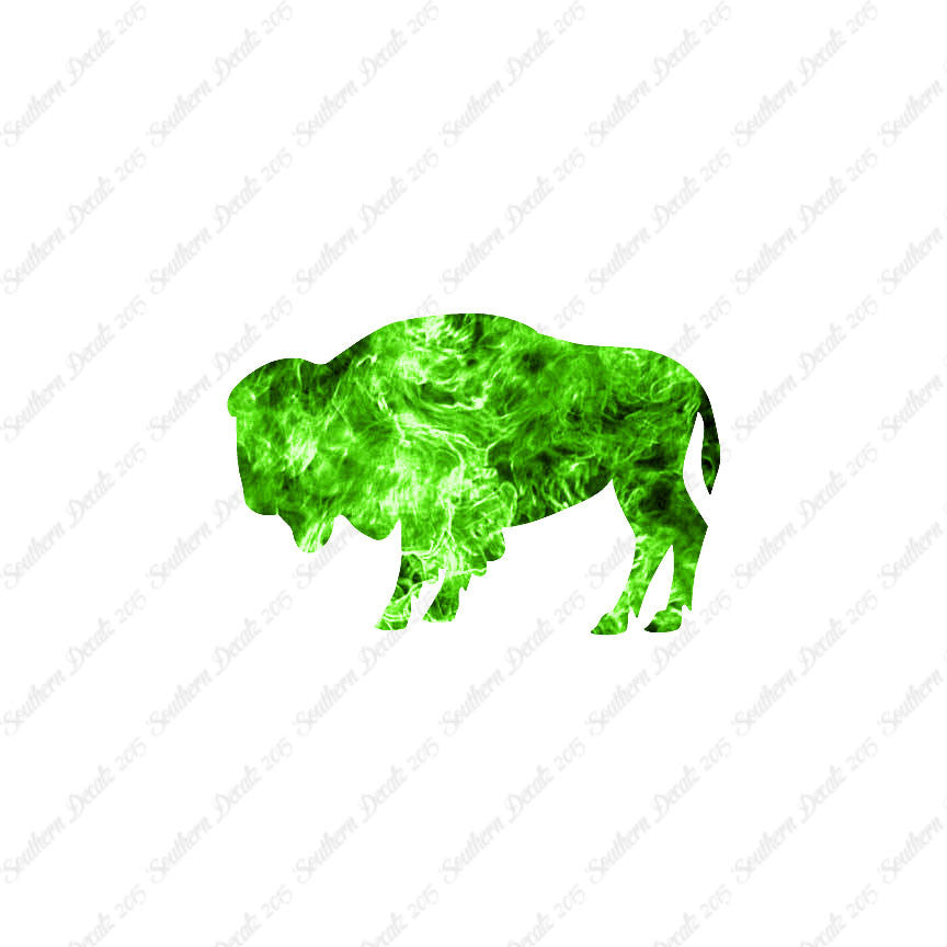 Bison Buffalo Oxen