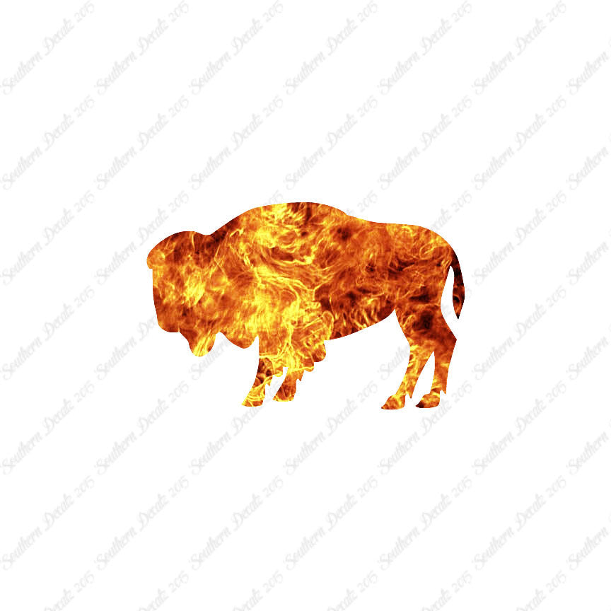 Bison Buffalo Oxen