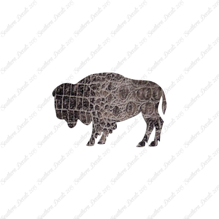 Bison Buffalo Oxen