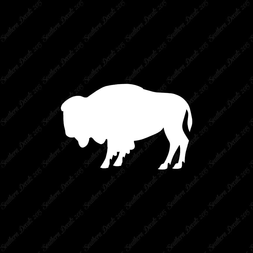 Bison Buffalo Oxen