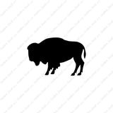 Bison Buffalo Oxen