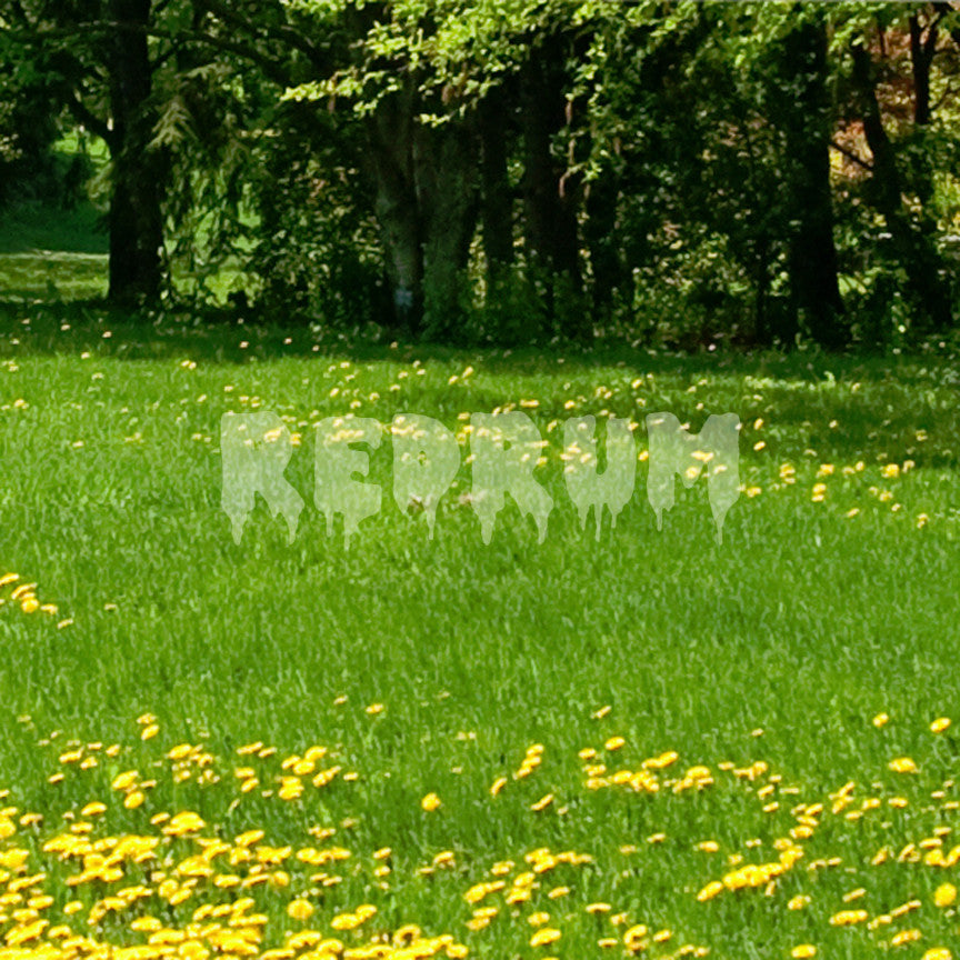 Redrum Murder