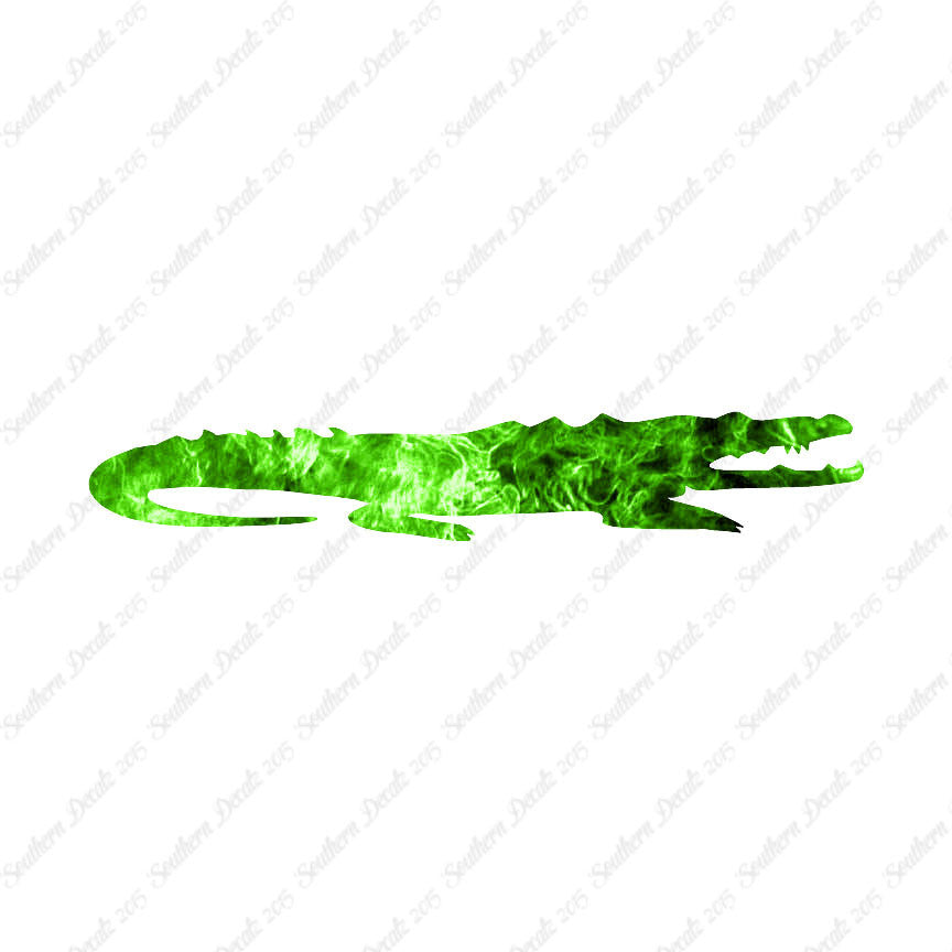 Crocodile Alligator