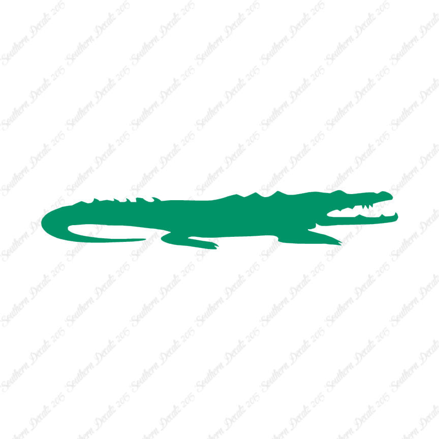 Crocodile Alligator