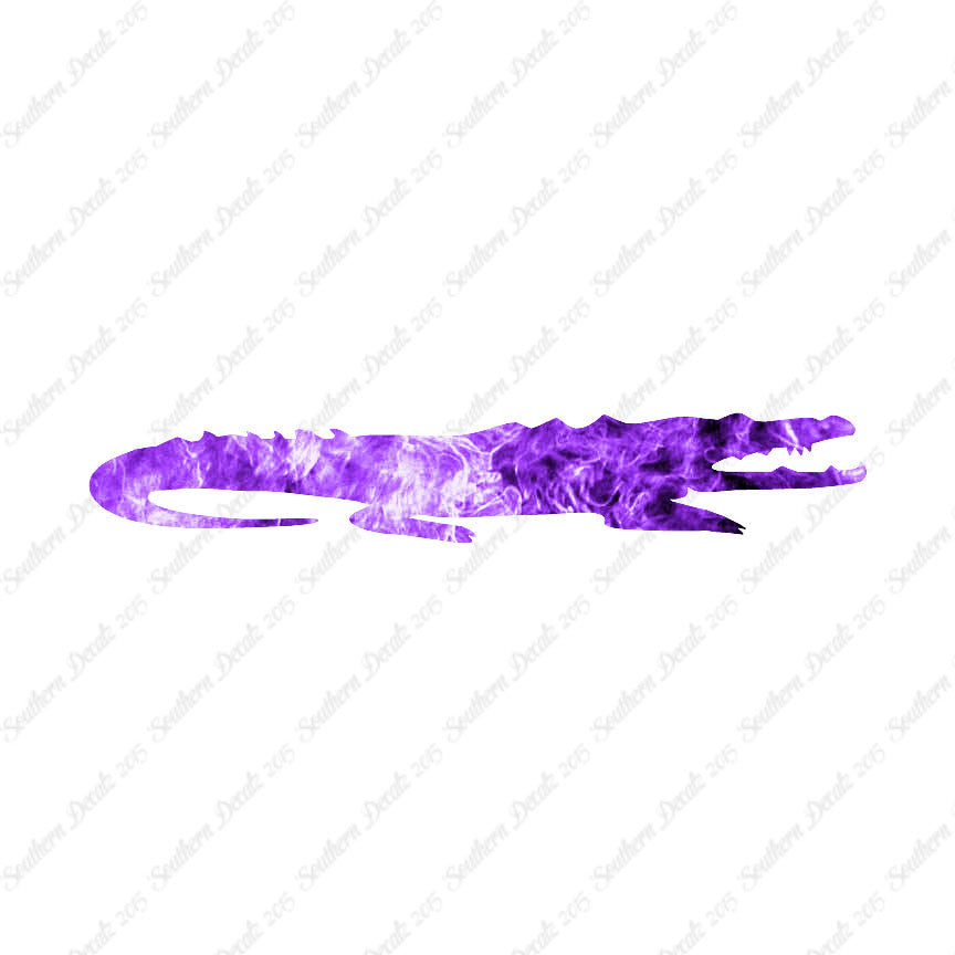 Crocodile Alligator