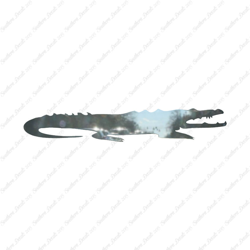 Crocodile Alligator